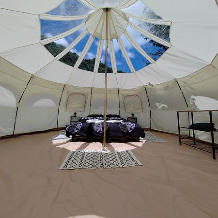 Luna Rock Glamping Brezoi - Blue Scai المظهر الخارجي الصورة
